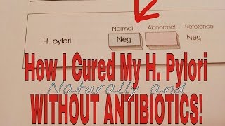 Cure H Pylori Without Antibiotics With Test Proof [upl. by Sadoc]