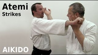 Aikido ATEMI  striking techniques by Stefan Stenudd in 2008 [upl. by Tillfourd]