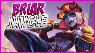 3 Minute Briar Guide  A Guide for League of Legends [upl. by Dylan]