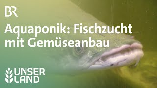 Aquaponik Fischzucht und Gemüseanbau aus einem System  Unser Land  BR Fernsehen [upl. by Eivets548]