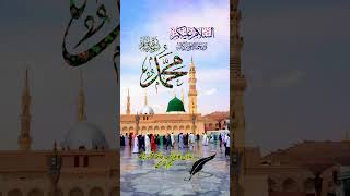 Jao a hajiyo Darbar e madina dekhoyoutubeshorts Allah [upl. by Llerehc]