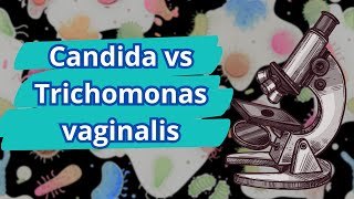 Candida versus Trichomonas vaginalis [upl. by Delos17]