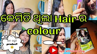 କେମିତି ଥିଲା ମୋ hair colour 🫣 Garnier colour natural 532 🤷 My Personal review 😣। Step by step 😺 [upl. by Martica106]