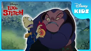 The Best of Jumba amp Pleakley  Lilo and Stitch  Disney Kids [upl. by Cired358]