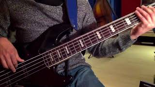 Erykah Badu  Appletree Bass Cover [upl. by Oliviero]