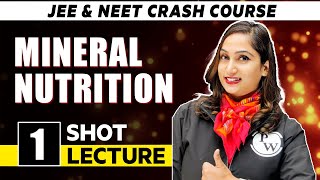 Mineral Nutrition  One Shot Lecture  CHAMPIONS  NEET CRASH COURSE 2022 [upl. by Garbe595]