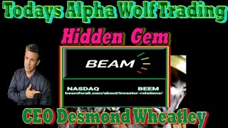 Alpha Wolf Trading Follow up With CEO Desmond Wheatley Beam Global Inc BEEM [upl. by Clio]