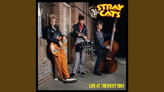 Stray Cat Strut Live [upl. by Arytas]