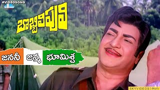 Bobbili Puli Movie Janani Janmabhoomischa Song NTR Sridevi skyvideostelugu [upl. by Knah]