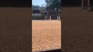 Slay horse show [upl. by Kaczer]