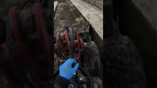 Amazing Pretty Girl Clean The Manure 👧 Part 3 howto work On The Dairy Farm cow farming farmer [upl. by Seve679]