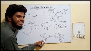 Methyl Salicylate synthesis mechanism [upl. by Afnin]