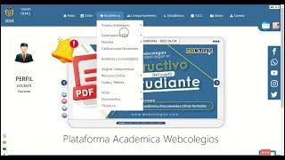 Consolidado Bimestral PDF Perfil Docente [upl. by Savart]