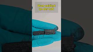 metallisches Uran oxidiert an der Luft chemie uran chemistry experiment [upl. by Joy]