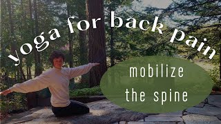 Yoga for back pain II give some attention to the spine and release the back body ✨ [upl. by Dranyer]