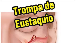 Trompa de Eustaquio [upl. by Janetta]