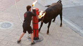 Festejos Taurinos en Massalfassar 2024 Tarde de Hnos Monferrer PT Está Feta [upl. by Arreit492]