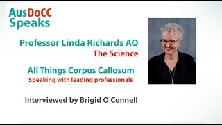 All Things Corpus Callosum  Prof Linda Richards  The Science 1 [upl. by Suiratnod42]