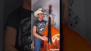 Johnny Cash  Big River Slap BassTololoche Cover [upl. by Yerkovich]