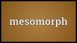 Mesomorph Meaning [upl. by Cynarra559]