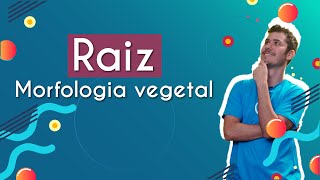 Morfologia vegetal Raiz  Brasil Escola [upl. by Eibbed]