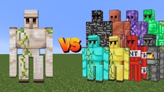 IRON GOLEM vs ALL GOLEMS  Minecraft Mob Fight [upl. by Iives]