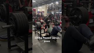 230kg PAUSED LARSON PRESS gym motivation gymcenter fitnesscenter [upl. by Iney232]