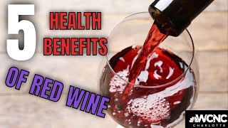 5 health benefits to drinking red wine  National Wine Day [upl. by Ajnin]