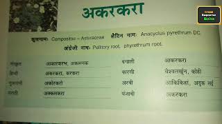 Akarkara pellitory root अनोखे फायदे [upl. by Matrona]