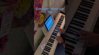 Maple Leaf Rag  Scott Joplin piano [upl. by Win940]