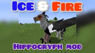 Flying and taming Minecraft hippogryph mod [upl. by Braswell]