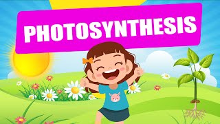 Photosynthesis  Educational Video  Science Lesson  Crash Course  Biology  Plants [upl. by Conant119]