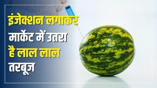 Watermelon Fake Vs Real तरबूज असली है या नकली इन टिप्स को करें फॉलो वरना [upl. by Thurlow]