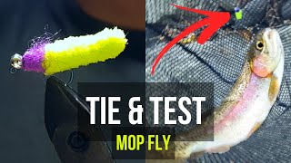 Mop Fly TIE amp TEST  Fly Fishing for Trout Big Stony Creek VA [upl. by Anaet918]