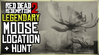 WHERE TO FIND THE LEGENDARY MOOSE LOCATION  HUNT  RED DEAD REDEMPTION 2 [upl. by Inoek]