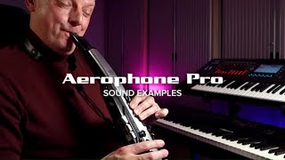 Sounds of the Roland Aerophone Pro Performed by Alistair Parnell [upl. by Acinomaj]