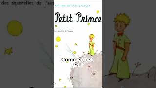 Le Petit Prince 015 [upl. by Assirrac827]