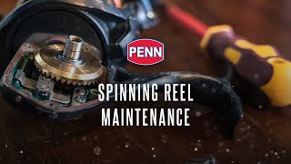 PENN Easy Reel Maintenance  Spinning Reel Maintenance [upl. by Egres614]