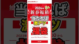 抽選だけど当たれば激アツのビックカメラ福袋2024年 [upl. by Adnilemreh594]