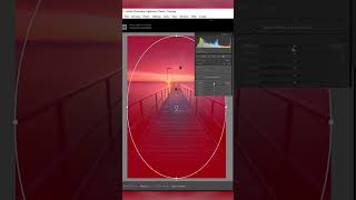 Add VIGNETTING using this Lightroom Trick shorts [upl. by Perri]