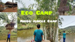 Eco Camp amp Mridu Jungle Camp Beautiful PlaceVlog 28 March 2024 [upl. by Cindelyn]