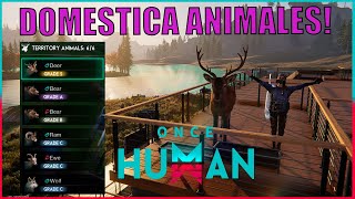 DOMESTICA ANIMALES Nueva Funcion  ONCE HUMAN [upl. by Ihel]