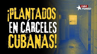 ¡Plantados en Cárceles Cubanas Condiciones Inhumanas y Crisis en las Prisiones [upl. by Finstad]