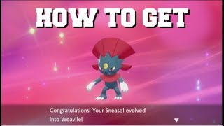 HOW TO EVOLVE SNEASEL INTO WEAVILE IN POKEMON SWORD AND SHIELD HOW TO GET RAZOR CLAW BEST METHOD [upl. by Eidnyl]