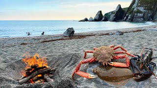 Catching Crabs and Lobsters by hand and Wild Beach Cooking [upl. by Cull]