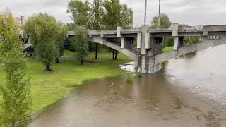 Povodňová situace v Kralupech nad Vltavou 14 9 2024 [upl. by Childers633]