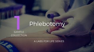 Phlebotomy [upl. by Evod]