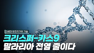 핫클립 크리스퍼카스9으로 말라리아 전염을 줄이다  YTN 사이언스 [upl. by Leanne]