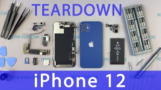 iPhone 12 Teardown [upl. by Steddman]