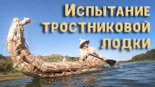 Как сделать тростниковую лодку  Reed boat test  Примитив технолоджи  Primitive technology [upl. by Pollux]